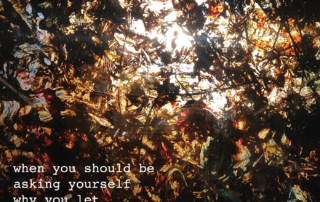 you ask me why i am fire