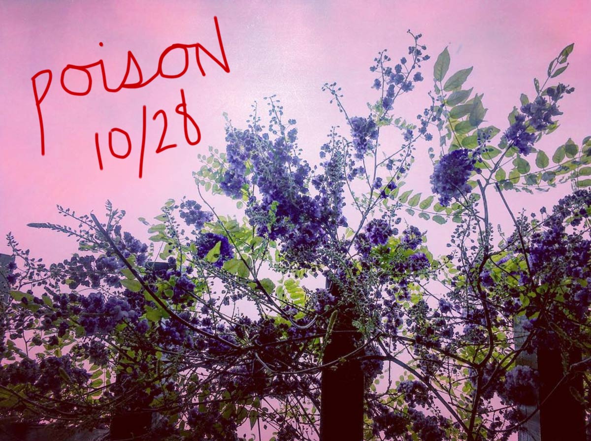 Poison - November Theme - Rough Cut Press