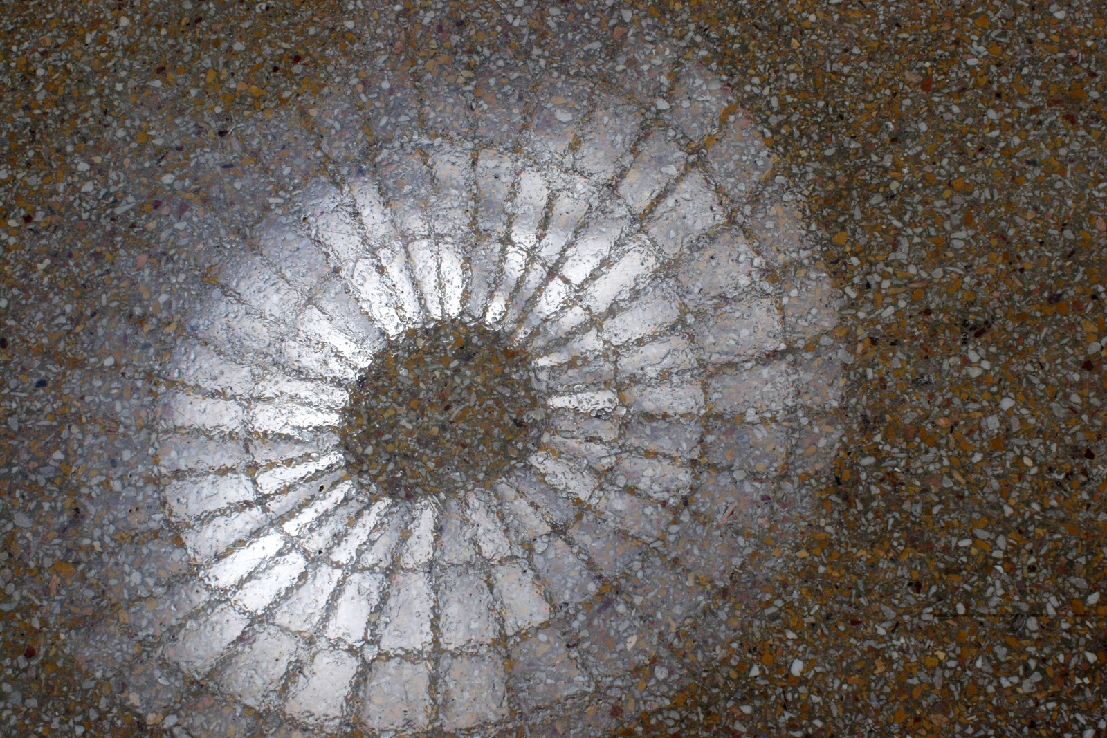 A circular, meditative pattern of light reflected against a wet gravel concrete.