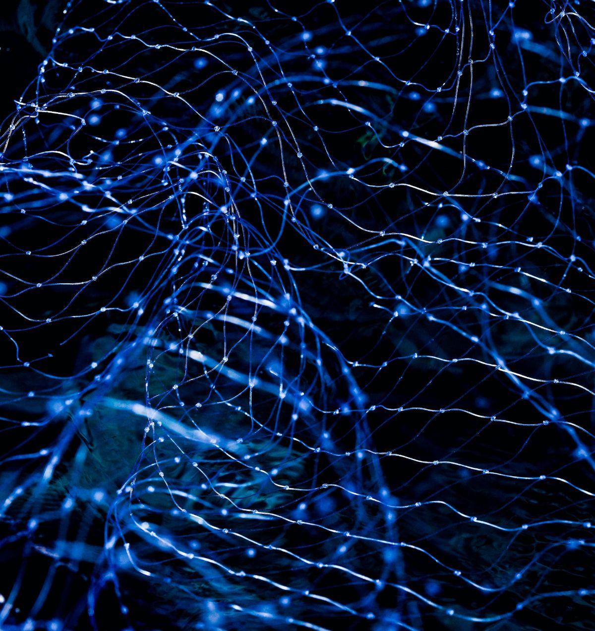 Bright abstract blue lines against a black background